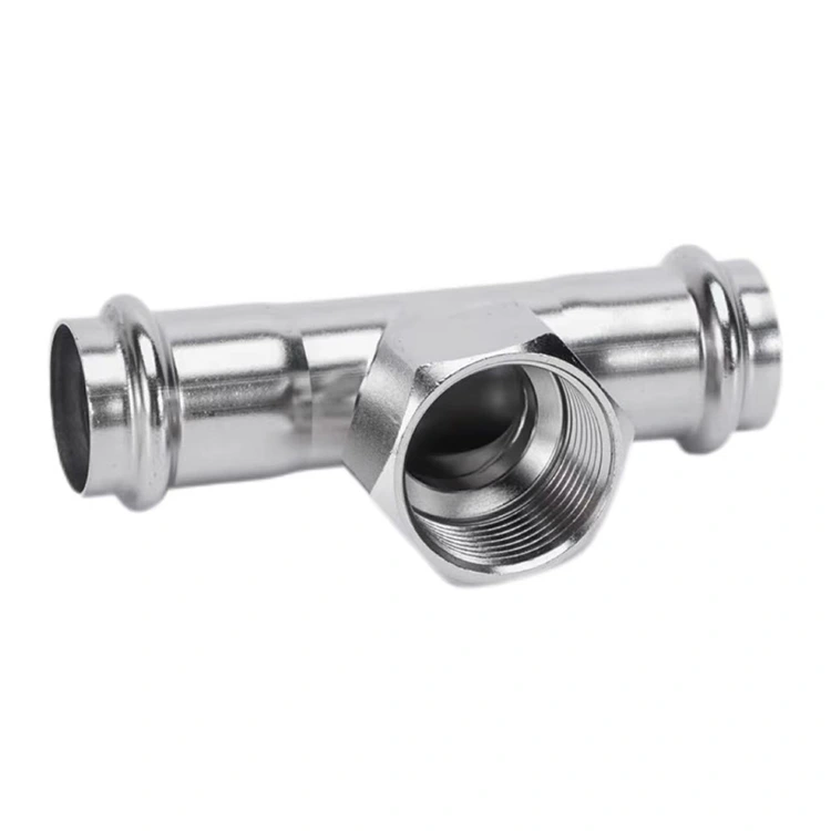 ตี๋เกลียวตัวเมียกดสองครั้ง